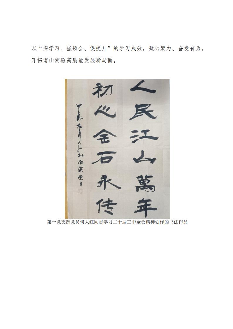 2024.11.29深學(xué)習(xí)、強領(lǐng)會、促提升南山實驗黨委組織開展黨員干部及全體黨員學(xué)習(xí)貫徹黨的二十屆三中全會精神專題培訓(xùn)_04.jpg